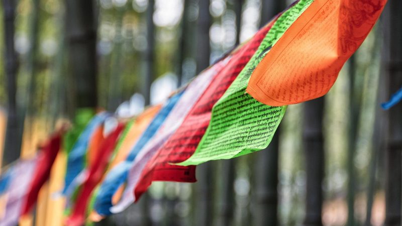 玩美与玩魅动漫 内容说明与免责声明